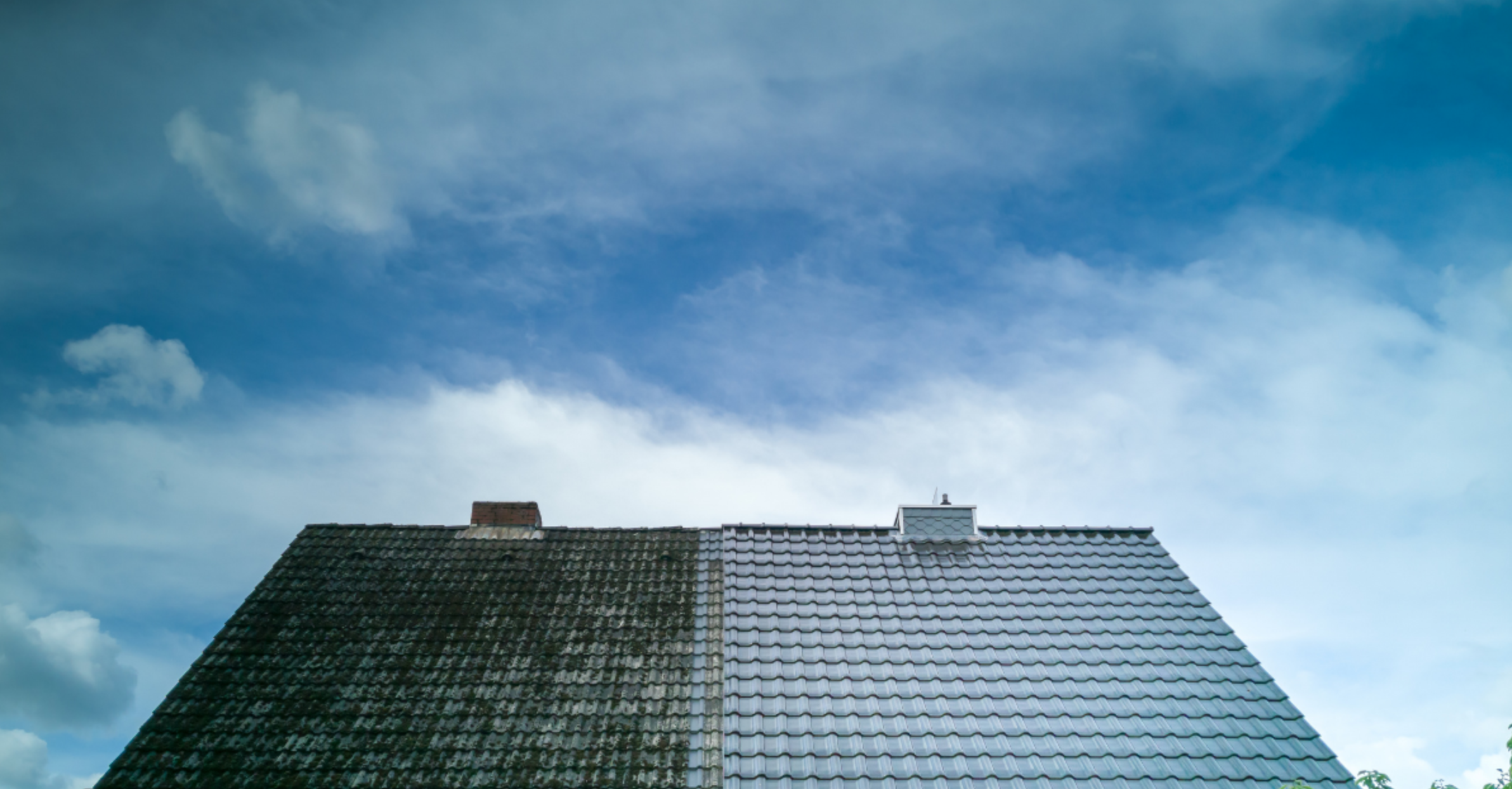 Spring cleaning roof tips