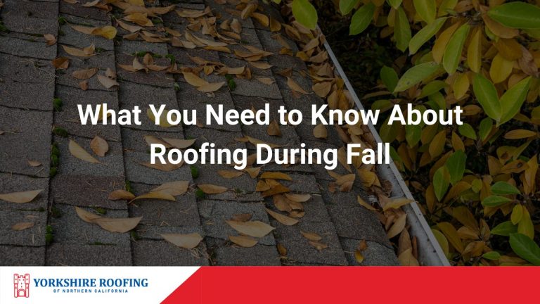 Fall Roofing